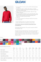 Load image into Gallery viewer, Argonauts glitter embroidered sweatshirt
